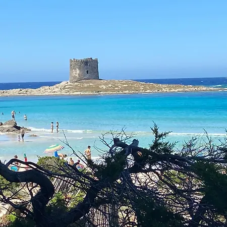Villetta Esclusiva Sulla Spiaggia Della Pelosa بيت للعطل