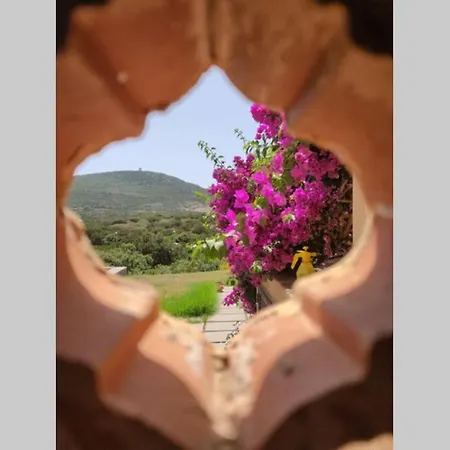 Esclusiva Sulla Della Pelosa Tatil Evi *