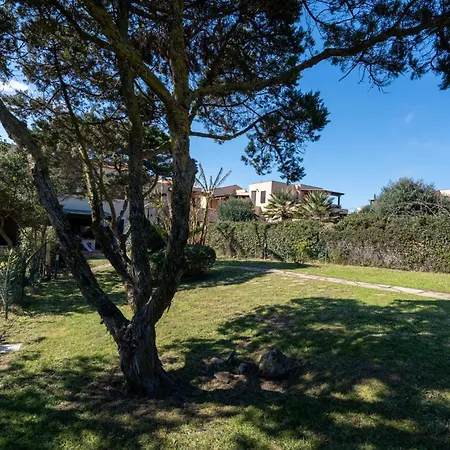 Esclusiva Sulla Della Pelosa Tatil Evi Stintino