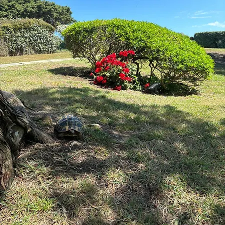 펜션 Con Giardino Sulla Della Pelosa 스틴티노