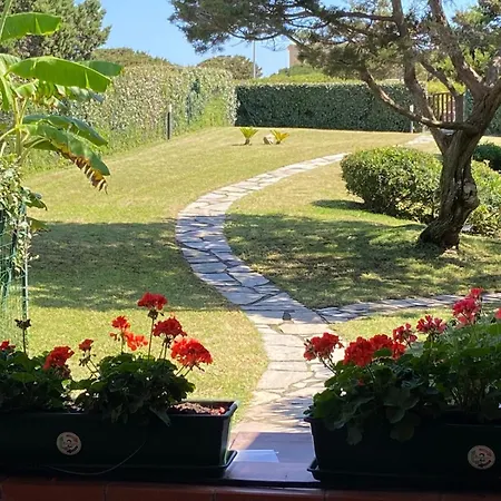 Con Giardino Sulla Della Pelosa 스틴티노