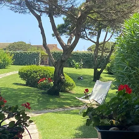 Con Giardino Sulla Della Pelosa 펜션 *