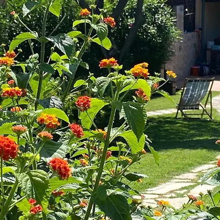 Con Giardino Sulla Della Pelosa 펜션 *