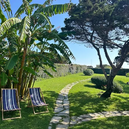 Con Giardino Sulla Della Pelosa Vakantiehuis *